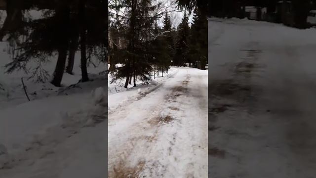 Больница им. Сеченова под Истрой смотреть онлайн