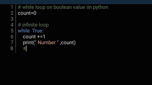 python program while loop on boolean value #pythonexercises  #pythontutorial  #python