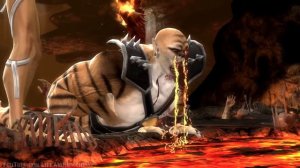 Mortal Kombat 9 Komplete Edition - All Stage Fatalities on Goro, Kintaro and Shao Kahn (1080p 60FPS