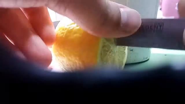 Выращивание Лимона в домашних условиях (без 25 кадра и заговора) смотреть онлайн