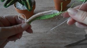 Tutorial Aloe Vera #crochet #uncinetto #aloe #piantegrasse #cactus