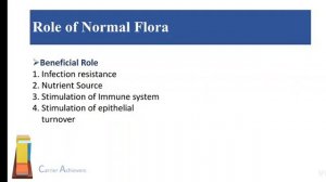 Human Microflora/ Normal Microflora/ Commensal Microbes