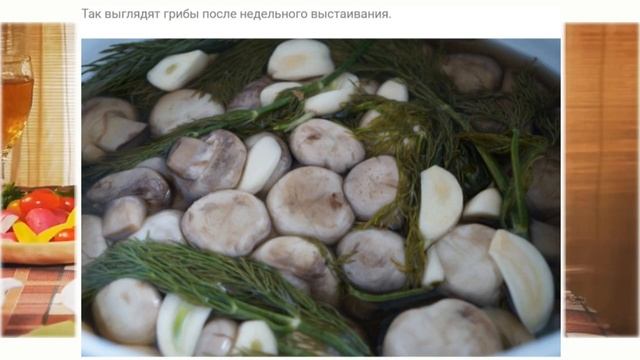 Любимые Рецепты. Соленые шампиньоны. Особенно хороши со сметаной или растительным маслом! смотреть онлайн