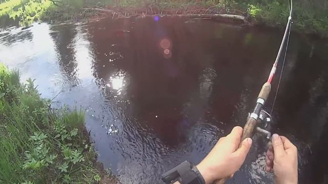 Хариус смотреть онлайн