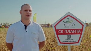 сорт сои СК Планта, основной посев 2020