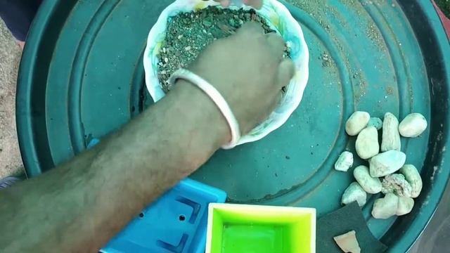 Best Soil Mix For succulent /Cactus. / कैक्टस प्लांट सॉइल मिक्स смотреть онлайн