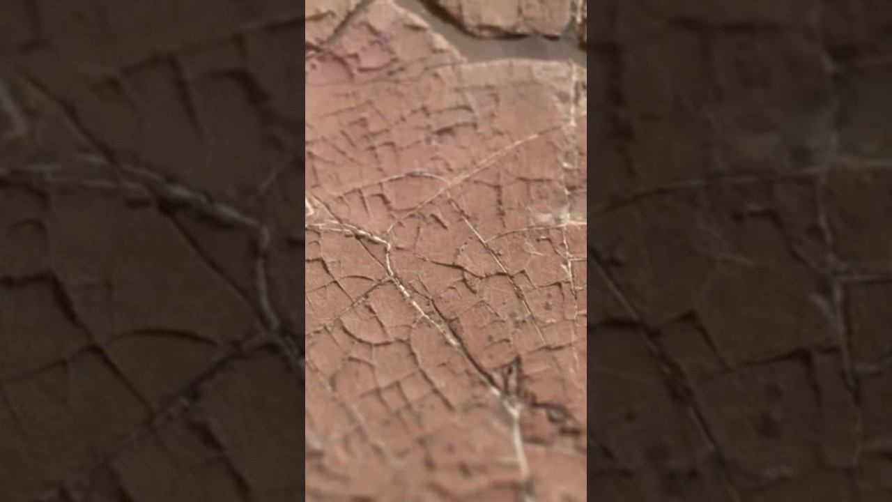 Древняя грязь Марса смотреть онлайн