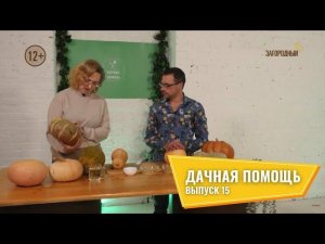 Дачная помощь // Выпуск 15