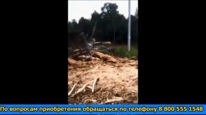 FERRI THFM F в работе по расчистке просек