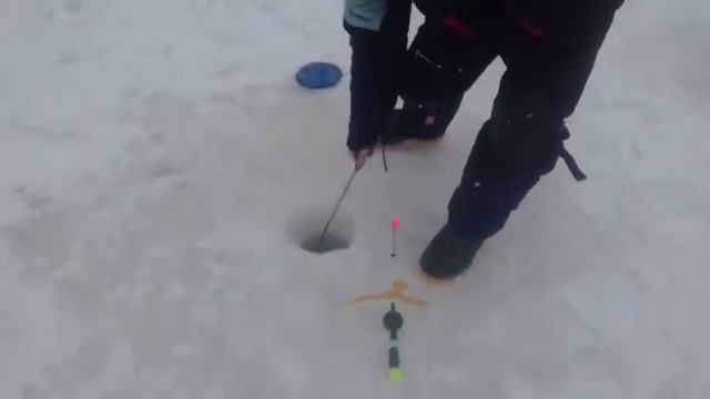 Рыбалка в Красногорске смотреть онлайн