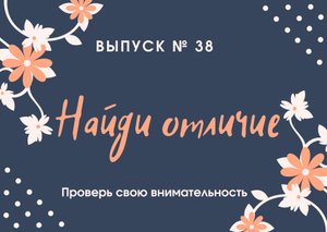 "Найди отличие" _ выпуск № 38