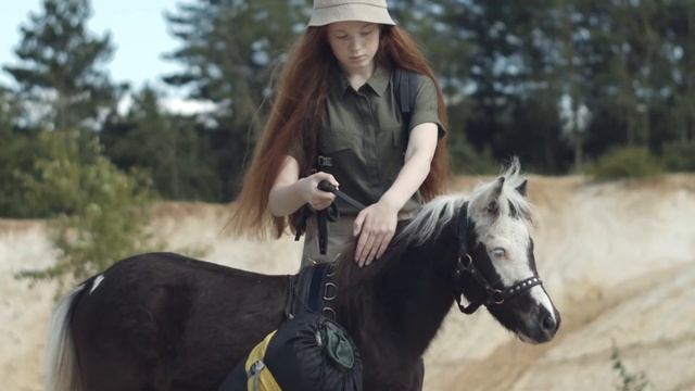 Как ухаживать за пони? Домашний пони, содержание и уход.