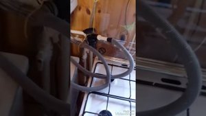 Чистка теплообменника Rinnai rmf207