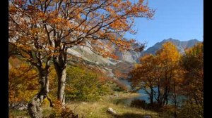 Durmitor-izvorne pjesme uz gusle(izvorna grupa Stara Hercegovina)
