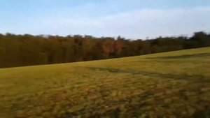 Кровавая барыня. Рабочие моменты