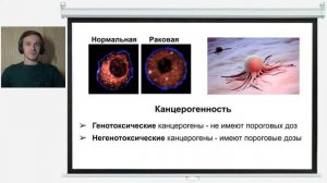 Канцерогенные примеси  От валсартана до ранитидина