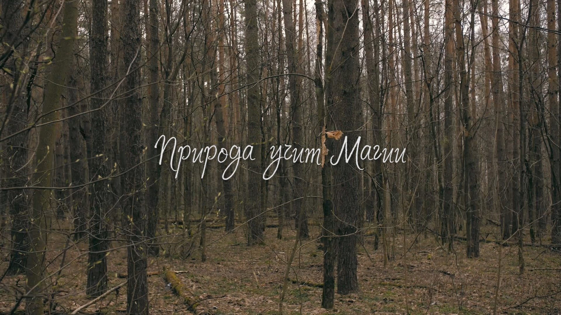 Природа учит Магии / Обучение магии и колдовству