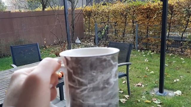 Красавица,Осень// Летние Топы, Носить Сейчас??!!! Образы ? смотреть онлайн