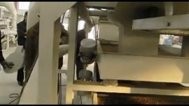 Переработка гречихи посевной (гречки)