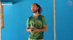 Упражнение Ци-гун "Большое дерево". Правильное выполнение и внутренняя работа