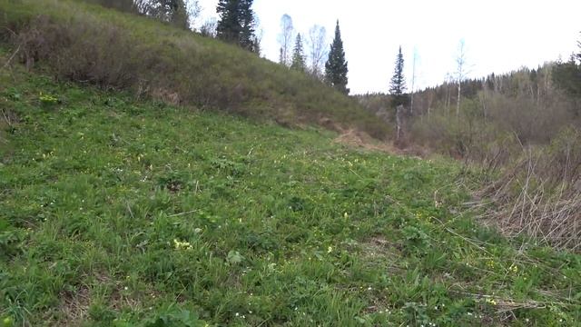 Поход-заброска на сплав.ЧАСТЬ 1.Начало сплава по несплавной реке Малый Уксунай. смотреть онлайн