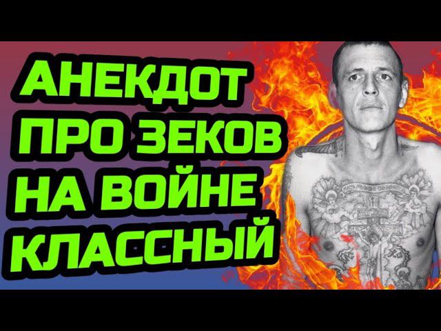 Анекдот про зеков на войне
