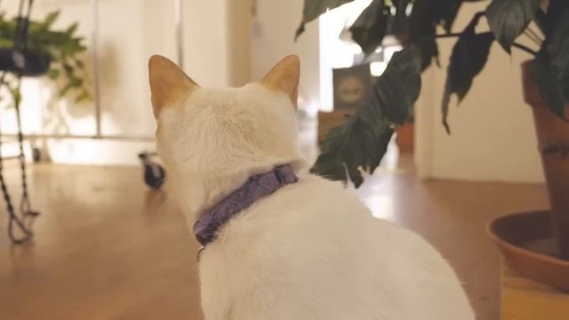 Выставила сестре счёт за люстру смотреть онлайн