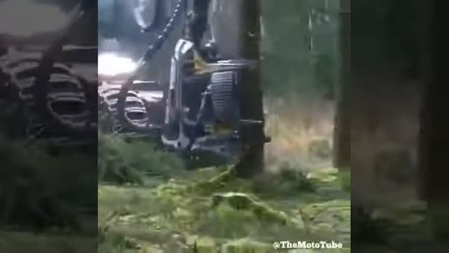 Лесоруб 21 века - зверь машина!!! смотреть онлайн