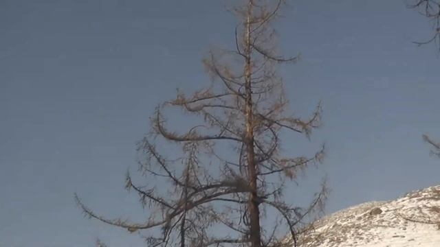 белуха зимой.wmv смотреть онлайн