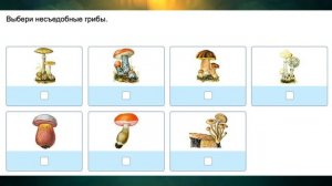 "Если случилась беда", Окружающий мир 4 класс ч.1, с.88-98, Школа XXI век.