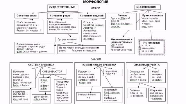 Латинский и романские языки  Изменения в морфологии народной латыни