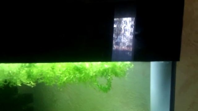 Охлаждение воды в аквариуме Ч.5 смотреть онлайн