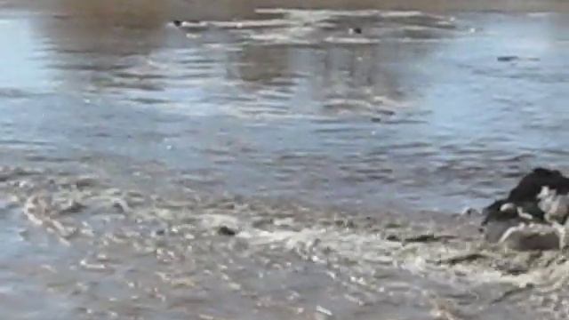 Как это было. Строительство искусственного озера. Демонтаж временной грунтовой плотины. Рязань. смотреть онлайн