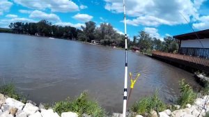 Рыбалка Ловля карпа и осетра