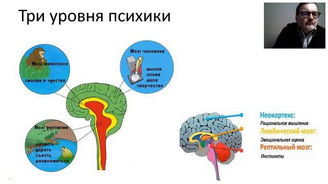 Первый вебинар онлайн-курса Николая Васильева Преодоление конфликта