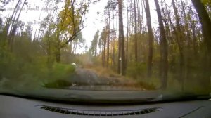 Лада Калина 2 на легком бездорожье