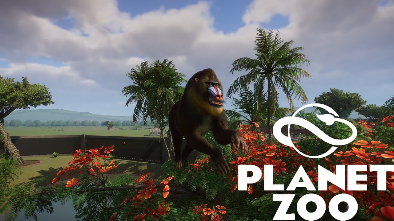 Planet Zoo S1 E11 - Дарёному мандрилу в зубы не смотрят