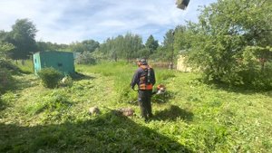 STIHL FS490 + autocut 40-2