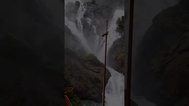 Dudhsagar waterfall | Goa | train journey from pune|