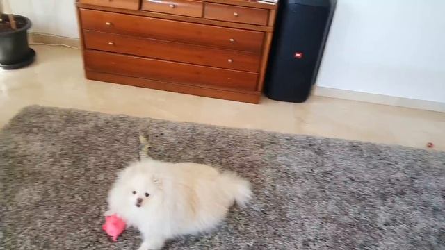 Что делать если люди предают ?! смотреть онлайн