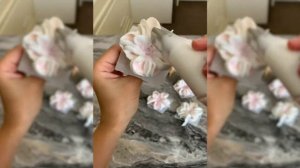 Зефирный пион, гортензия, роза , шиповник насадкой 118, кала, гвоздика, лютик, клумбы на пружинках