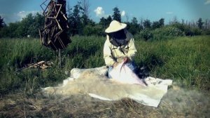 Утеплительные подушки из рогоза для пчёл