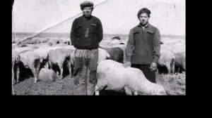 Старая Ефремовка.