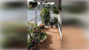 Зимний сад на балконе или лоджии загородного дома