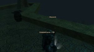 Gothic 3  Zabij Xardasa