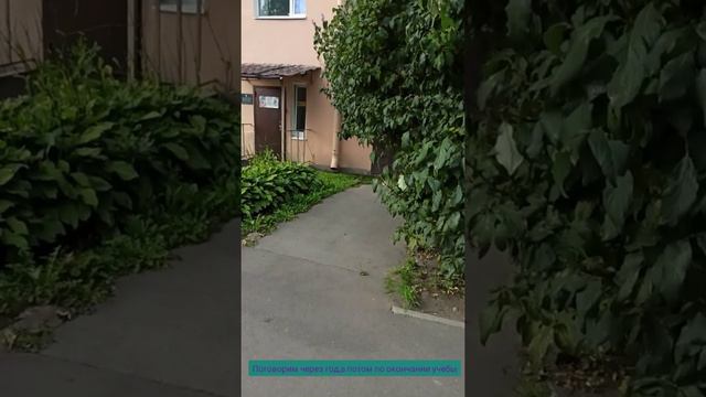 В Питере жить,учиться или как мы отправили сыночку.#питер#влог#моясемья #моивидео смотреть онлайн