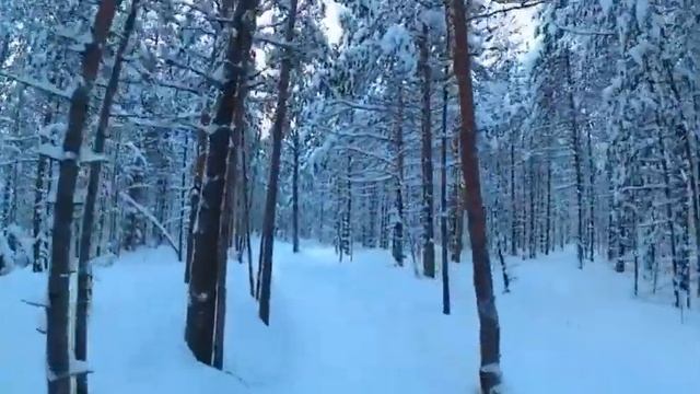 ЯНВАРЬ: каток, лес, 18 век... смотреть онлайн