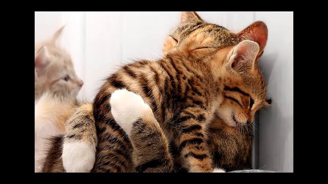 Стихи о жизни - Зачем нужны объятия смотреть онлайн