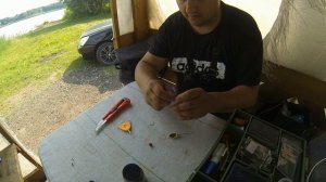 Июль Жара 30+ и тигровый орех!!!