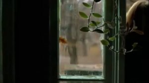 Скоро осень, за окнами август -- Нина Бродская